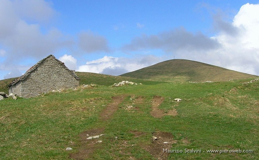 05 Raggiungo i pascoli sommitali. Il sole tiene ancora.JPG